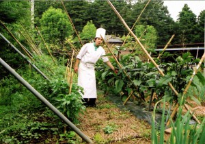 採れたて野菜